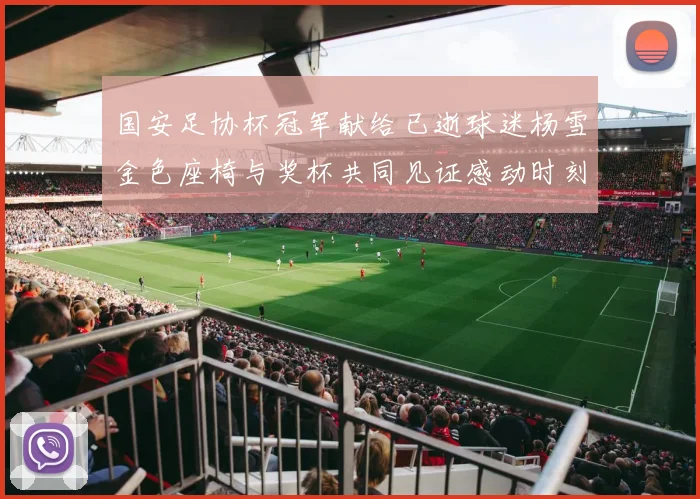 国安足协杯冠军献给已逝球迷杨雪金色座椅与奖杯共同见证感动时刻