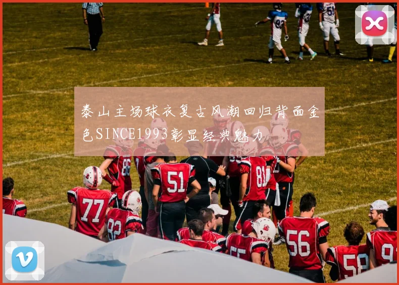 泰山主场球衣复古风潮回归背面金色SINCE1993彰显经典魅力